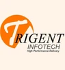 Trigent Wholesale Business Software Trigent Wholesale Business Software